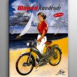 Moped Handbuch
